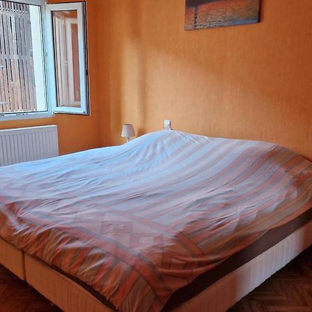 Appartement Le Grillenbreit Colmar Ngoại thất bức ảnh