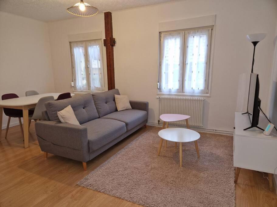 Appartement Le Grillenbreit Colmar Ngoại thất bức ảnh